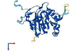 AlphaFold protein structure predicition of Mouse Recombinant Psmg2 Protein, UniprotID Q9EST4
