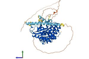 AlphaFold protein structure predicition of Human Recombinant SRPK3 Protein, UniprotID Q9UPE1