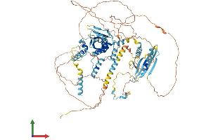 AlphaFold protein structure predicition of Human Recombinant SUPT20H Protein, UniprotID Q8NEM7