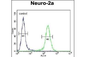 ZDHC2 Antibody (N-term) (ABIN651781 and ABIN2840397) flow cytometric analysis of Neuro-2a cells (right histogram) compared to a negative control (left histogram).