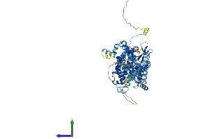 AlphaFold protein structure predicition of Mouse Recombinant Slc26a6 Protein, UniprotID Q8CIW6
