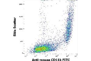 Flow cytometry surface staining pattern of murine peritoneal fluid cells stained using anti-mouse CD11b (M1/70) FITC antibody (concentration in sample 0,5 μg/mL). (CD11b anticorps  (FITC))