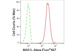 Flow cytometric analysis of MAS1L expression in C2C12 cells using MAS1L antibody (ABIN7799334), 1:2,000). (Recombinant MAS1L anticorps)