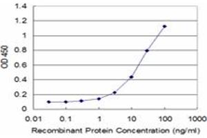 Detection limit for recombinant GST tagged MAGEB1 is approximately 1ng/ml as a capture antibody.