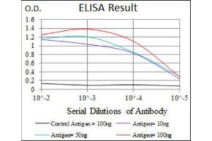 ELISA image for anti-rho GDP Dissociation Inhibitor (GDI) alpha (ARHGDIA) (AA 1-204) antibody (ABIN1844919)