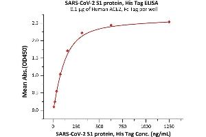 Immobilized Human ACE2, Fc Tag (ABIN6952459,ABIN6952465) at 1 μg/mL (100 μL/well) can bind SARS-CoV-2 S1 protein, His Tag (ABIN6992361) with a linear range of 9.