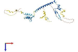 AlphaFold protein structure predicition of Human Recombinant E2F5 Protein, UniprotID Q15329