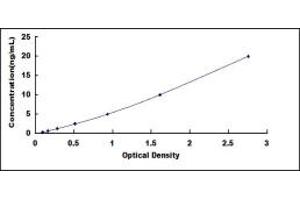 Typical standard curve (DYNC2H1 Kit ELISA)