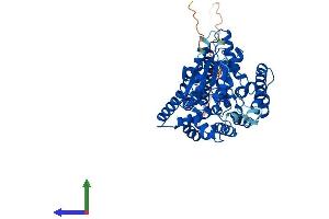 AlphaFold protein structure predicition of Human Recombinant PIGB Protein, UniprotID Q92521