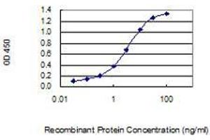 Detection limit for recombinant GST tagged BGN is 0.