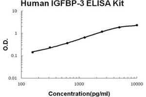 Human IGFBP-3 PicoKine ELISA Kit standard curve