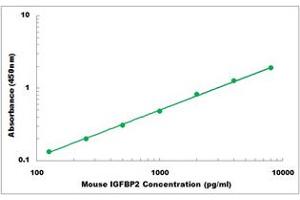 Representative Standard Curve (IGFBP2 Kit ELISA)