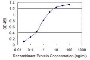 Detection limit for recombinant GST tagged TBL1XR1 is 0. (TBL1XR1 anticorps  (AA 81-178))