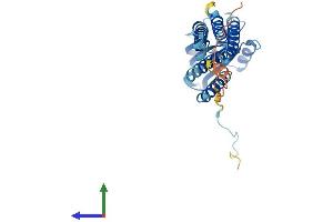 AlphaFold protein structure predicition of Mouse Recombinant Duoxa2 Protein, UniprotID Q9D311