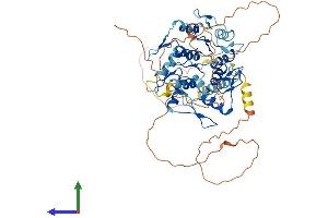 AlphaFold protein structure predicition of Human Recombinant ZNF697 Protein, UniprotID Q5TEC3