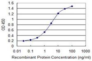 Detection limit for recombinant GST tagged ZNF192 is 0.