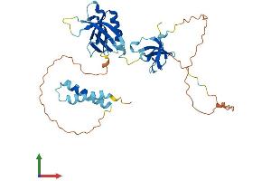 AlphaFold protein structure predicition of Human Recombinant SKAP1 Protein, UniprotID Q86WV1
