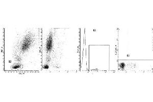 Clone B-ly8 (CD22) was analyzed by flow cytometry using a blood sample from a healthy volunteer. (CD22 anticorps)