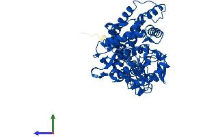 AlphaFold protein structure predicition of Mouse Recombinant Cyp2r1 Protein, UniprotID Q6VVW9