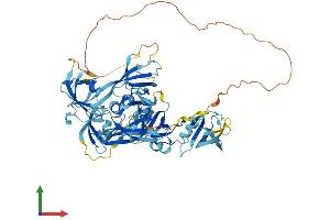 AlphaFold protein structure predicition of Human Recombinant THEMIS Protein, UniprotID Q8N1K5