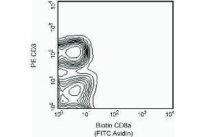 The expression of CD8a on rat splenocytes. (CD8 alpha anticorps  (Biotin))