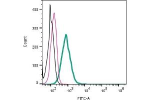 Cell surface detection of GPR142 by direct flow cytometry in live intact human  monocytic leukemia cell line: + Rabbit IgG Isotype Control-FITC (ABIN7582044).