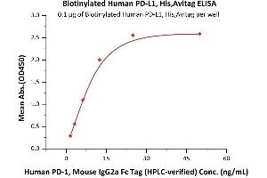 Immobilized Biotinylated Human PD-L1 (19-134), His,Avitag™ (ABIN6950994,ABIN6952283) at 1 μg/mL (100 μL/well) on Streptavidin  precoated (0.