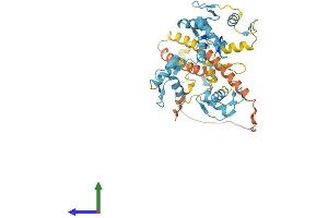 AlphaFold protein structure predicition of Human Recombinant ZNF789 Protein, UniprotID Q5FWF6