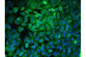 Image provided by One World Lab validation program.