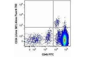 Flow Cytometry (FACS) image for anti-CD34 (CD34) antibody (Alexa Fluor 700) (ABIN2657261) (CD34 anticorps  (Alexa Fluor 700))