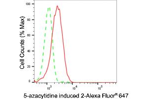 Flow cytometric analysis of 5-azacytidine induced 2 expression in HepG2 cells using 5-azacytidine induced 2 antibody (ABIN7797426), 1:2,000). (Recombinant AZI2 anticorps)