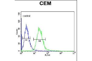 Flow cytometric analysis of CEM cells (right histogram) compared to a negative control cell (left histogram).