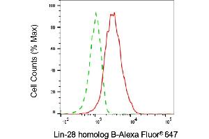 Flow cytometric analysis of lin-28 homolog B expression in HAP-1 cells using lin-28 homolog B antibody (ABIN7799270), 1:2,000). (LIN28B anticorps)
