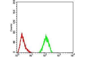 Flow cytometric analysis of Hela cells using CFHR5 mouse mAb (green) and negative control (red).