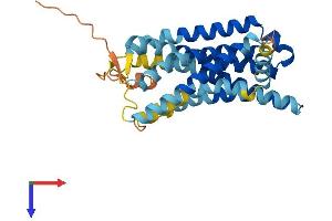 AlphaFold protein structure predicition of Human Recombinant OR2W3 Protein, UniprotID Q7Z3T1
