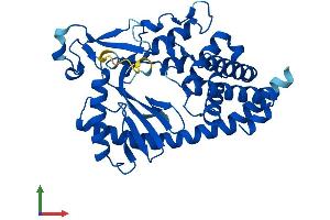 AlphaFold protein structure predicition of Human Recombinant MAB21L1 Protein, UniprotID Q13394
