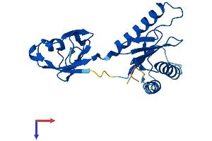 AlphaFold protein structure predicition of Mouse Recombinant Trappc4 Protein, UniprotID Q9ES56