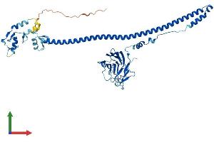 AlphaFold protein structure predicition of Human Recombinant TRIM69 Protein, UniprotID Q86WT6