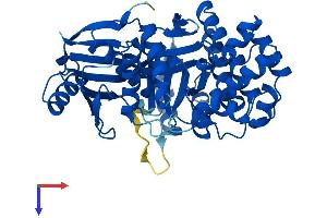AlphaFold protein structure predicition of Human Recombinant GALK2 Protein, UniprotID Q01415