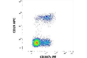 Flow cytometry multicolor surface staining of human lymphocytes stained using anti-human CD307c (H5) PE antibody (10 μL reagent / 100 μL of peripheral whole blood) and anti-human CD19 (LT19) APC antibody (10 μL reagent / 100 μL of peripheral whole blood).