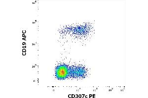 Flow cytometry multicolor surface staining of human lymphocytes stained using anti-human CD307c (H5) PE antibody (10 μL reagent / 100 μL of peripheral whole blood) and anti-human CD19 (LT19) APC antibody (10 μL reagent / 100 μL of peripheral whole blood). (FCRL3 anticorps  (PE))