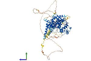AlphaFold protein structure predicition of Human Recombinant ARHGAP28 Protein, UniprotID Q9P2N2