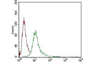 Flow cytometric analysis of A431 cells using SERPINA7 mouse mAb (green) and negative control (red).