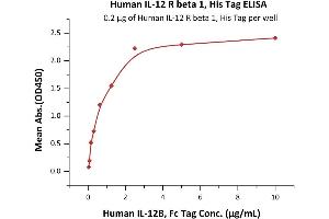 Immobilized Human IL-12 R beta 1, His Tag (ABIN6731331,ABIN6809932) at 2 μg/mL (100 μL/well) can bind Human IL-12B, Fc Tag (ABIN2181332,ABIN3071756,ABIN6810015) with a linear range of 0.