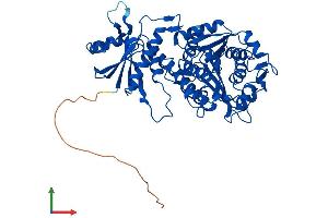 AlphaFold protein structure predicition of Mouse Recombinant Lap3 Protein, UniprotID Q9CPY7