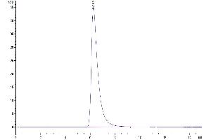 The purity of Human FAP is greater than 95 % as determined by SEC-HPLC.