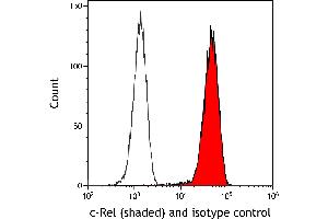 Flow Cytometry (FACS) image for anti-REL proto-oncogene (c-Rel) (C-Term) antibody (ABIN7795772)