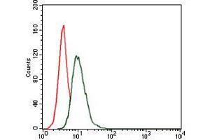 Flow cytometric analysis of HeLa cells using HSP90AA1 mouse mAb (green) and negative control (red).