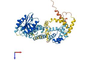AlphaFold protein structure predicition of Human Recombinant SRP54 Protein, UniprotID P61011