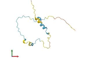AlphaFold protein structure predicition of Mouse Recombinant Lbh Protein, UniprotID Q9CX60
